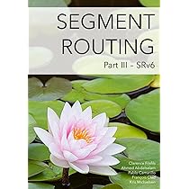 Segment Routing Part I : Filsfils, Clarence, Michielsen, Kris